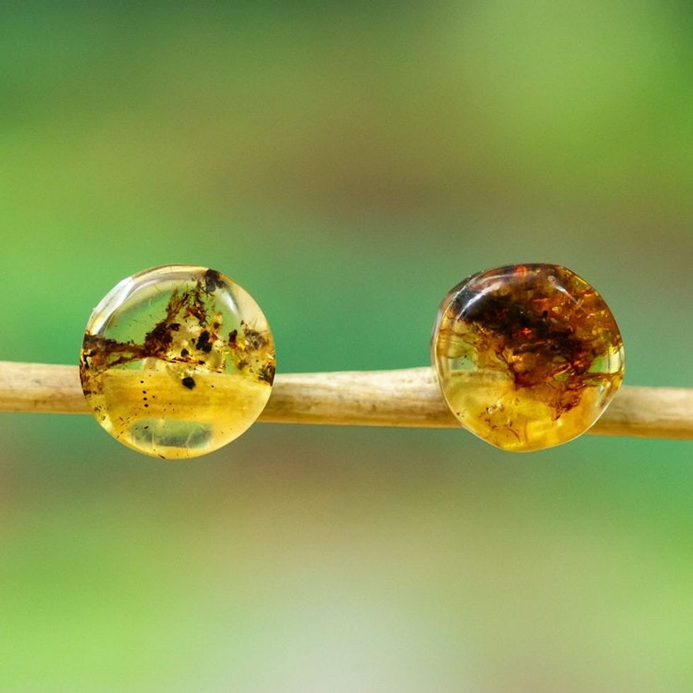 Handmade Amber Stud Earrings 'Golden Minimalism'