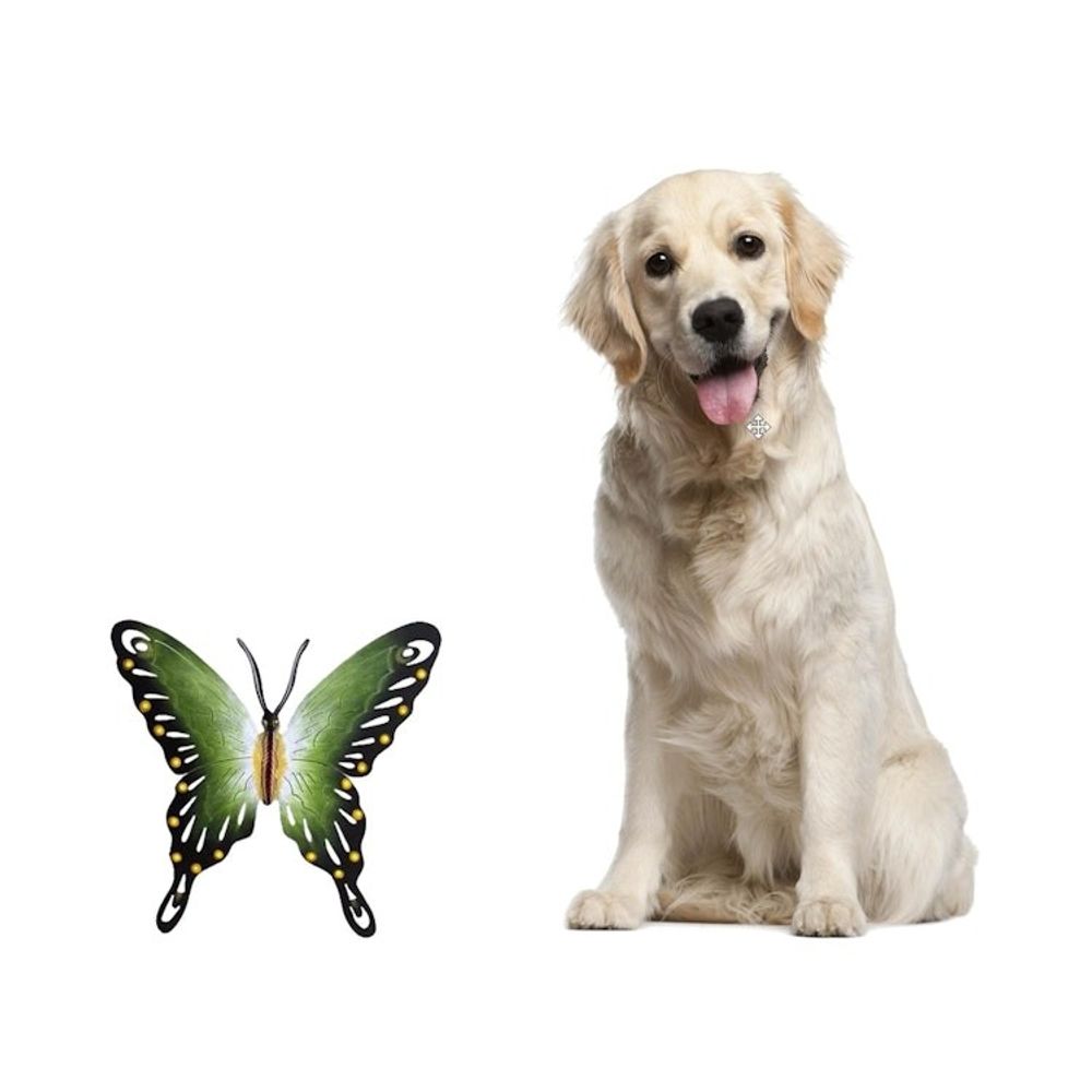 Alternate item image