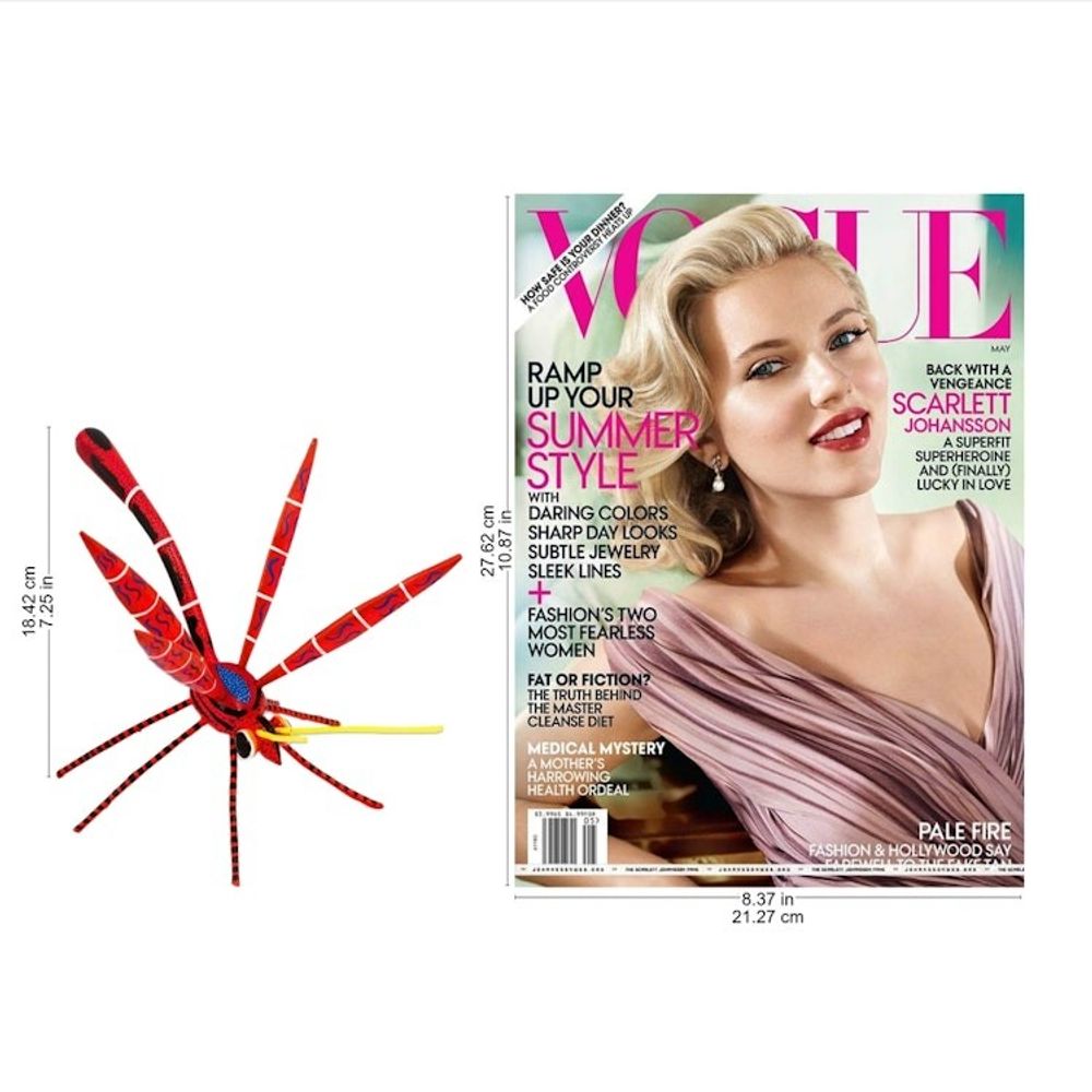 Alternate item image