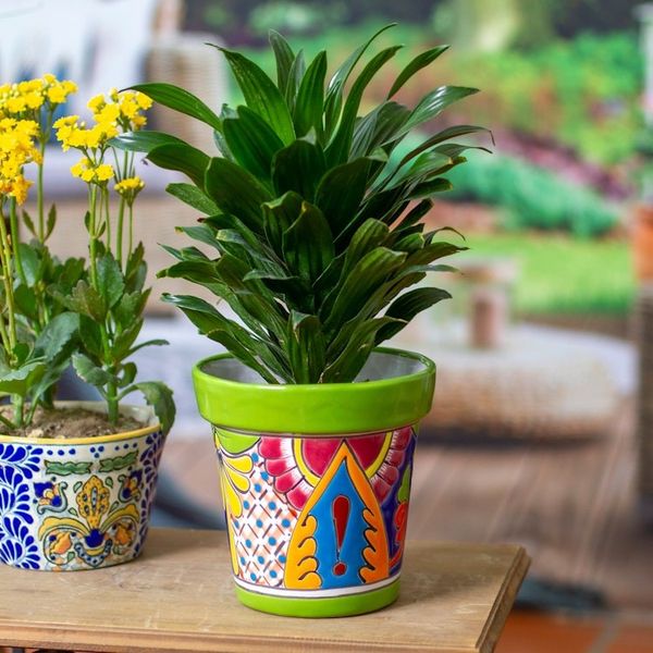 Alternate image for Talavera Kiwi Ceramic Flower Pot with Hacienda-Themed Motifs Kiwi Elysium
