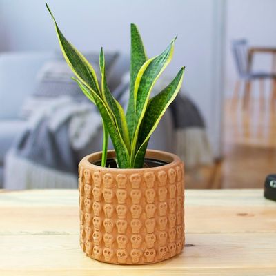 Alternate image for Handcrafted Skull-Patterned Round Beige Ceramic Flower Pot Portal to the Beige Afterlife