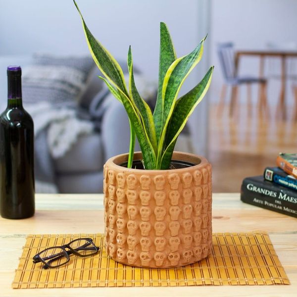 Alternate image for Handcrafted Skull-Patterned Round Beige Ceramic Flower Pot Portal to the Beige Afterlife