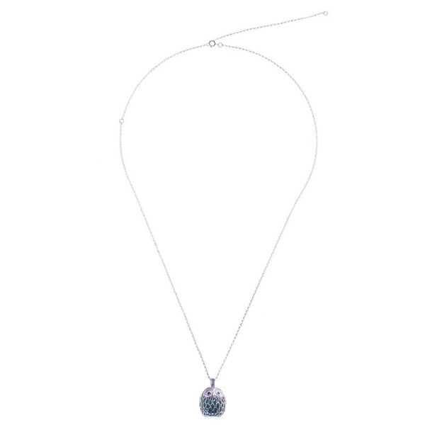 Alternate image for Owl-Themed Ringing Sterling Silver and Onyx Pendant Necklace Ringing Owl