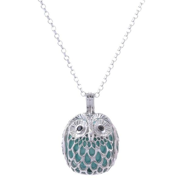 Alternate image for Owl-Themed Ringing Sterling Silver and Onyx Pendant Necklace Ringing Owl