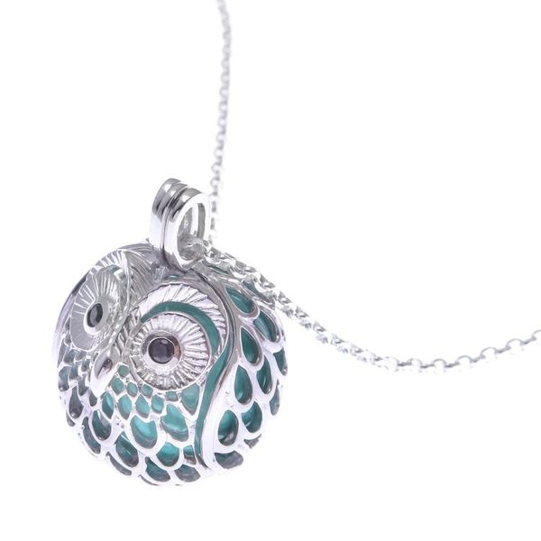 Alternate image for Owl-Themed Ringing Sterling Silver and Onyx Pendant Necklace Ringing Owl