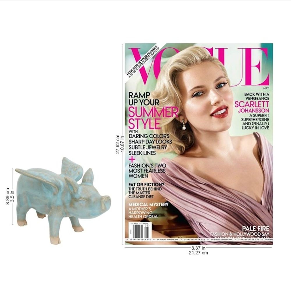 Alternate item image