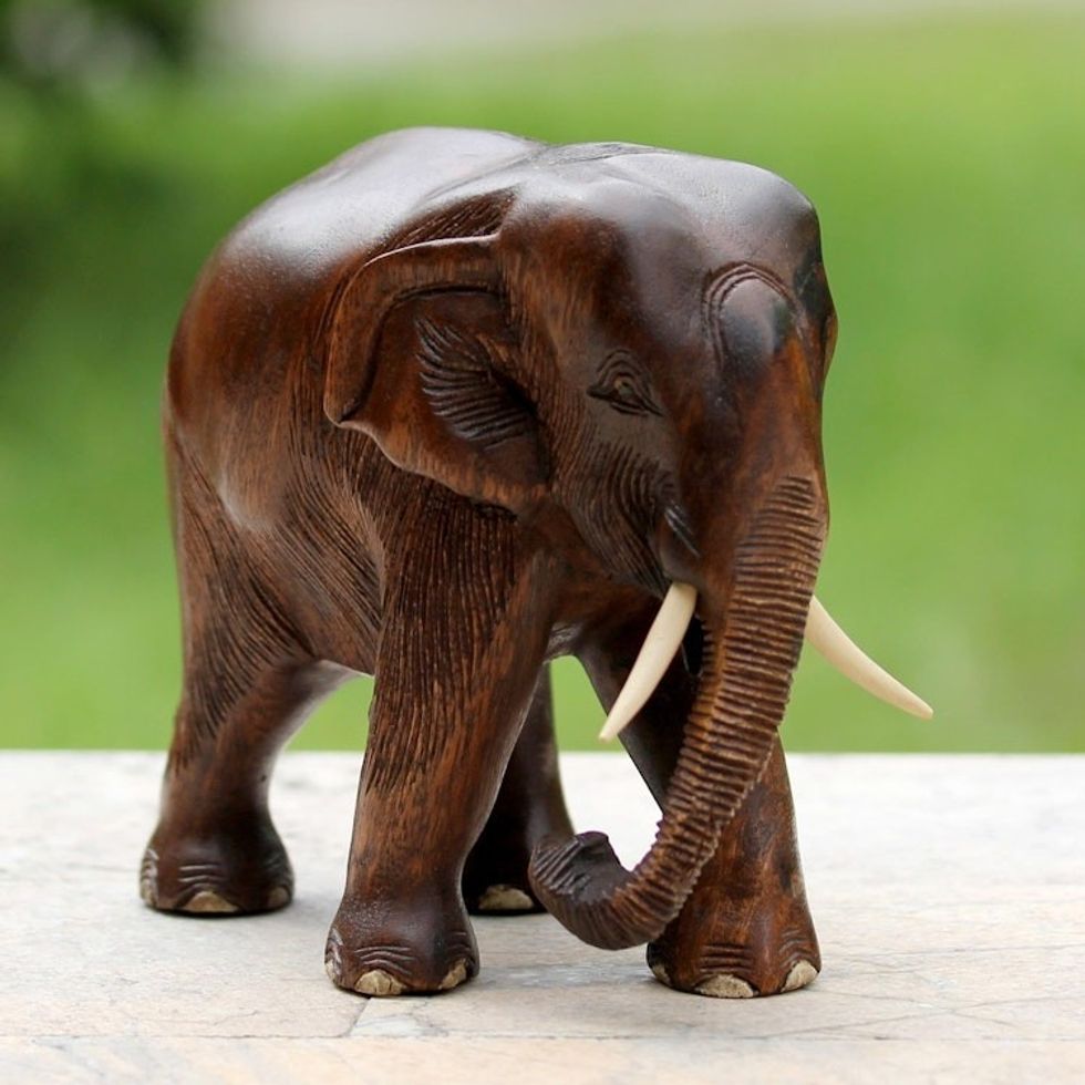 Artisan Carved Raintree Wood Sculpture 'Gentle Thai Elephant'
