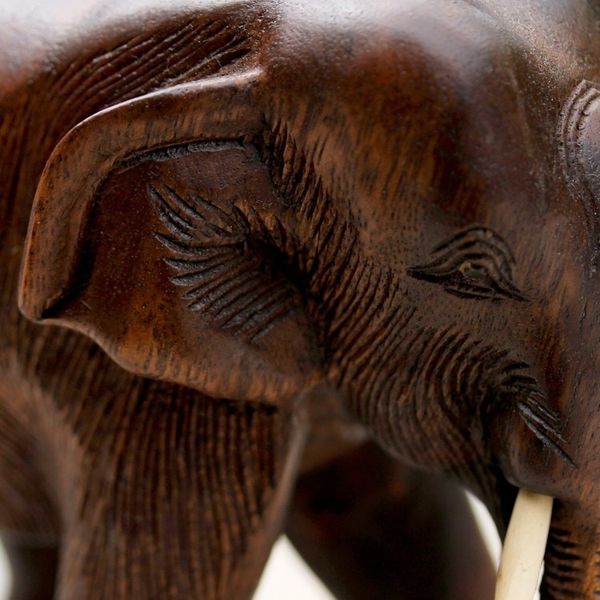 Alternate image for Artisan Carved Raintree Wood Sculpture Gentle Thai Elephant