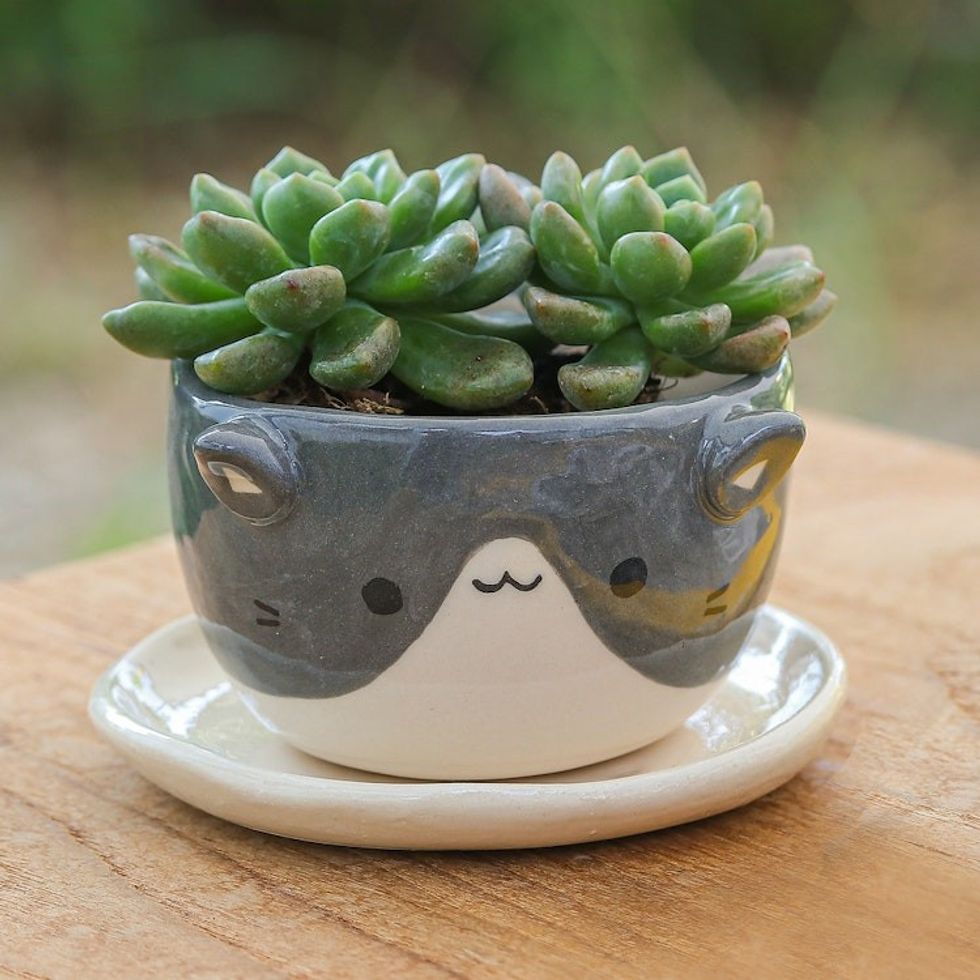 Handmade Ivory Grey Ceramic Cat Mini Flower Pot with Saucer 'Kitty Spell'