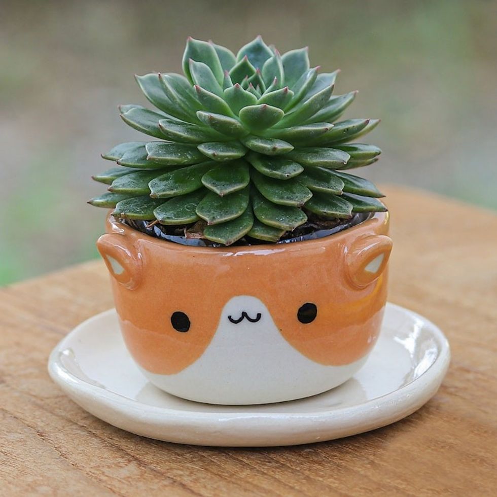 Cat-Themed Ivory Orange Ceramic Mini Flower Pot with Saucer 'Kitty Joy'