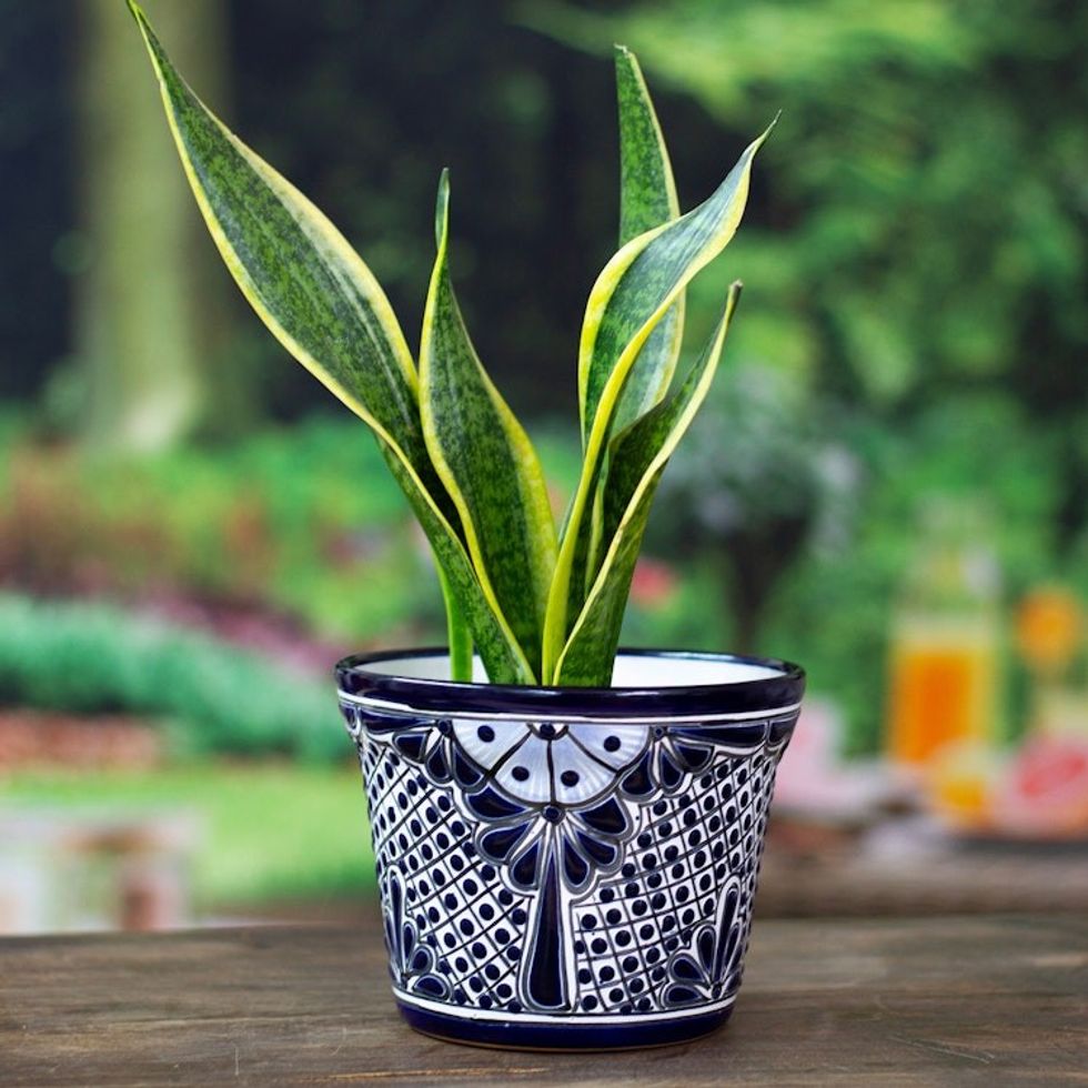 Handmade Classic Indigo-Toned Ceramic Flower Pot Medium 'Bewitched Nature'