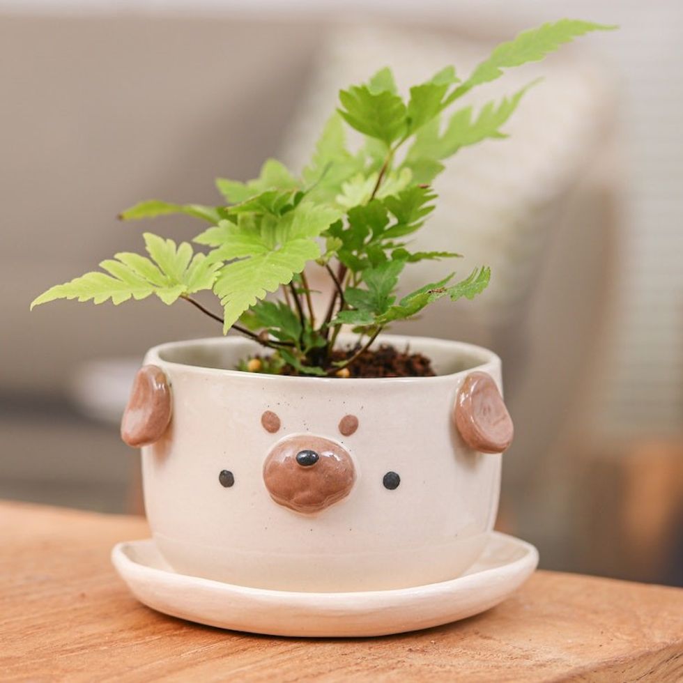 Artisan-Crafted Pug Dog-Themed Ceramic Flower Pot and Saucer 'Pug Blossoming'