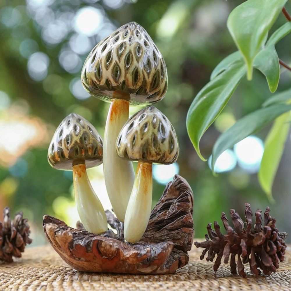 Alternate item image