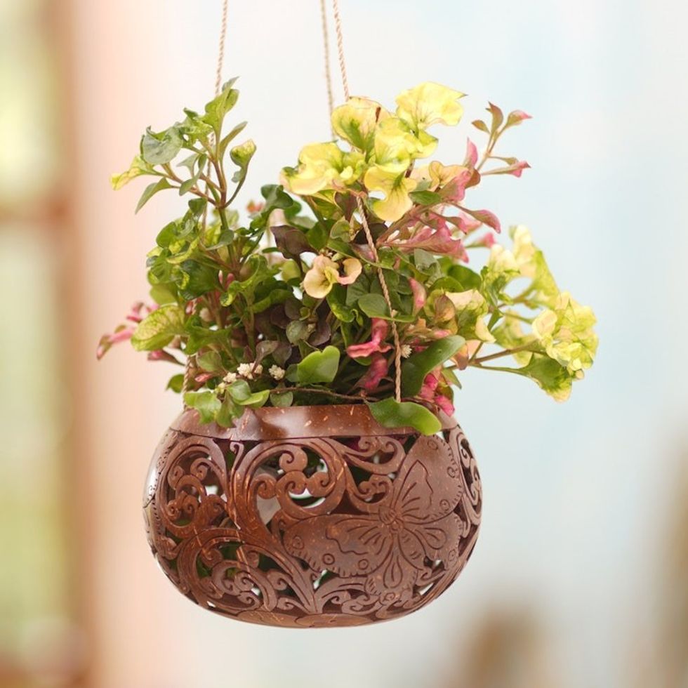 Handmade Coconut Shell Hanging Planter from Bali 'Tropical House in Butterfly'