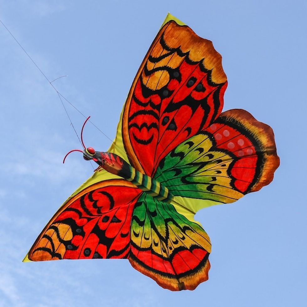Hand-Painted Nylon and Bamboo Vibrant Butterfly Kite 'Autumnal Butterfly'