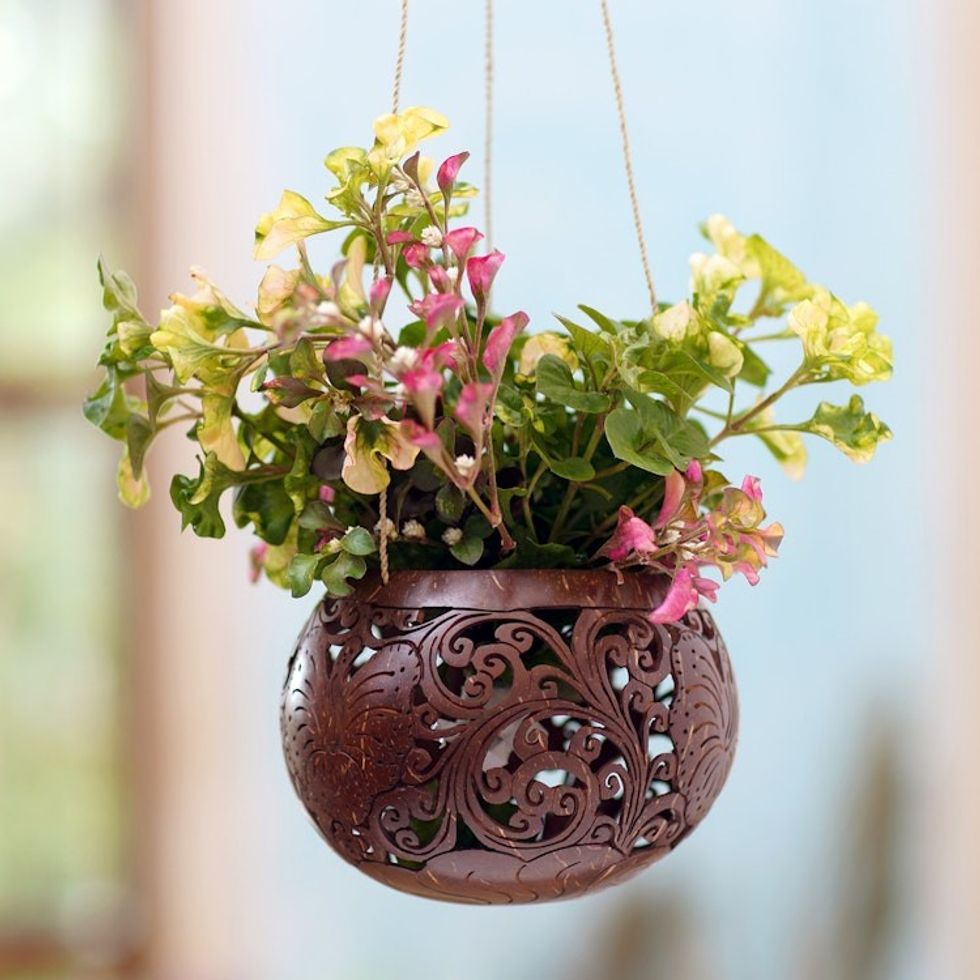 Artisan Crafted Coconut Shell Hanging Planter 'Tropical House in Bloom'