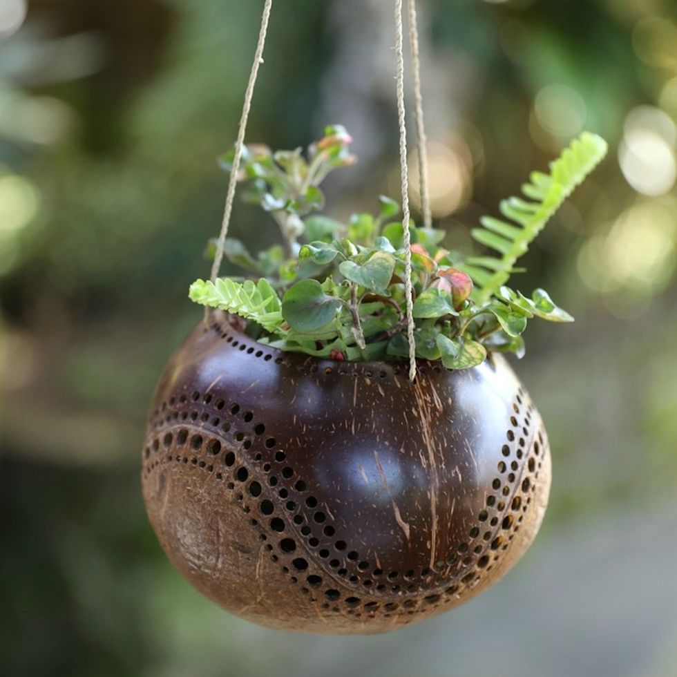 Coconut Shell Hanging Planter Hand-Crafted in Bali 'Riverside'