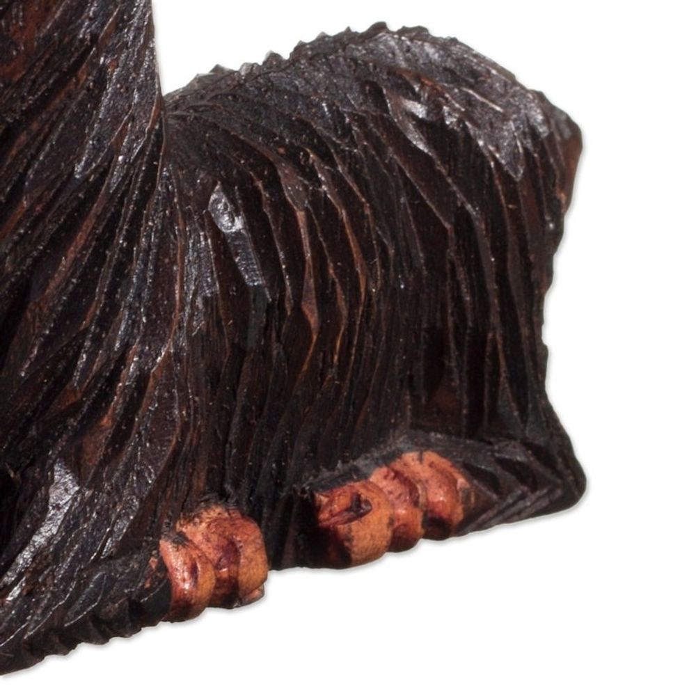 Alternate item image