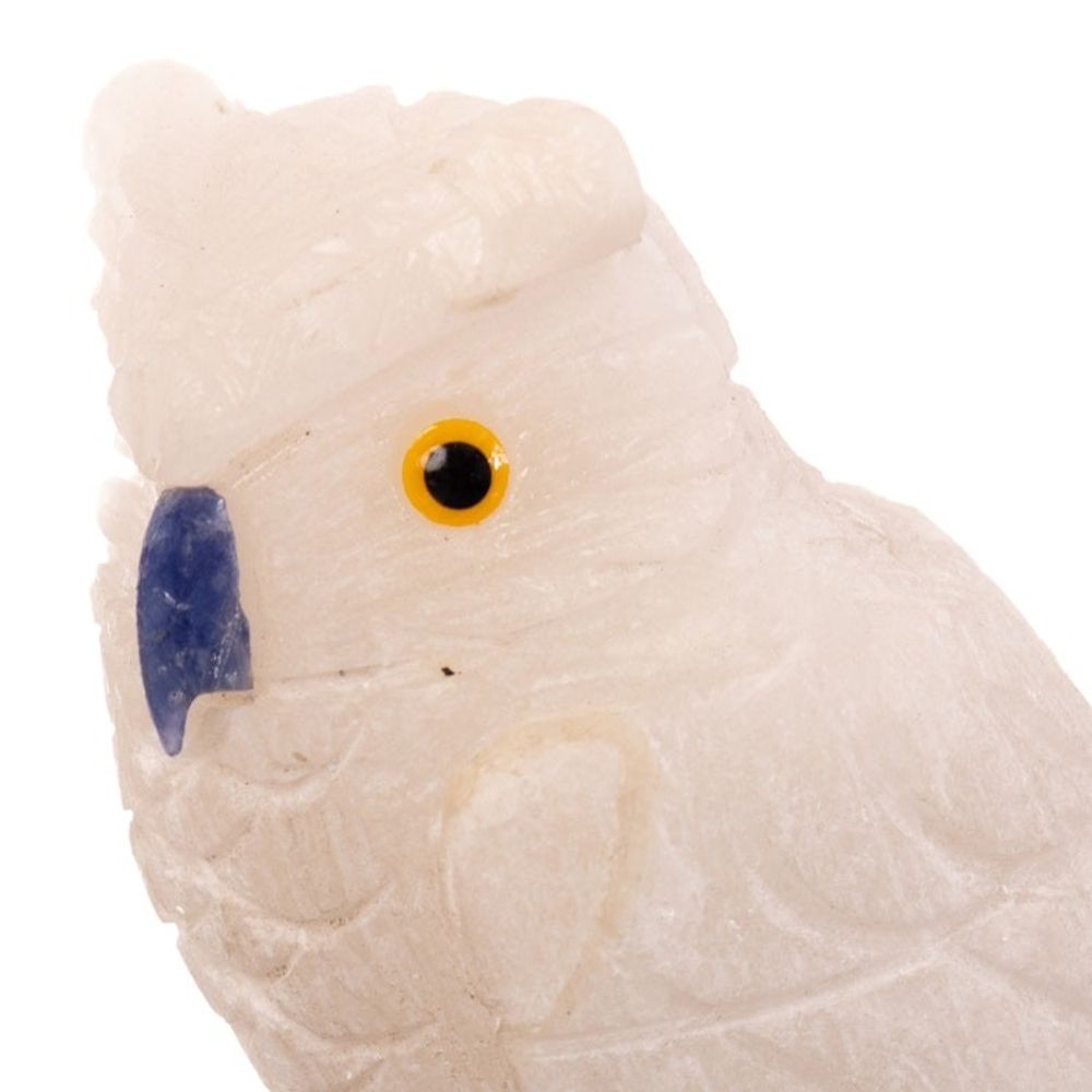 Alternate item image