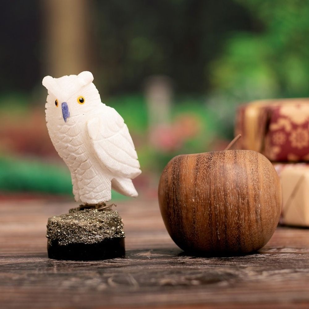 Alternate item image