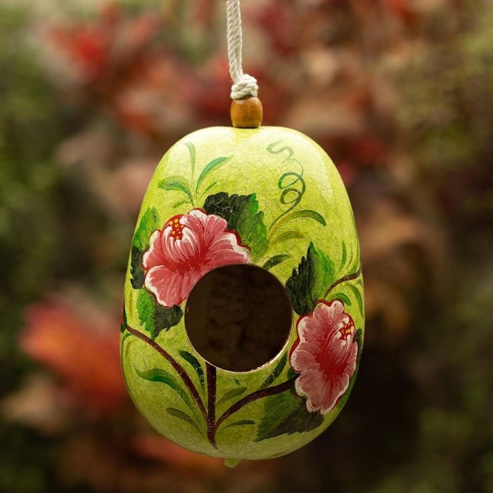 Dried Mate Gourd Green Hand Painted Birdhouse from Peru 'Avian Condo'
