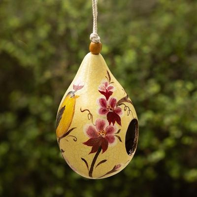 Alternate image for Dried Gourd Bird Nesting Place with Garden Flowers Sunlight Garden