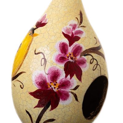 Alternate image for Dried Gourd Bird Nesting Place with Garden Flowers Sunlight Garden