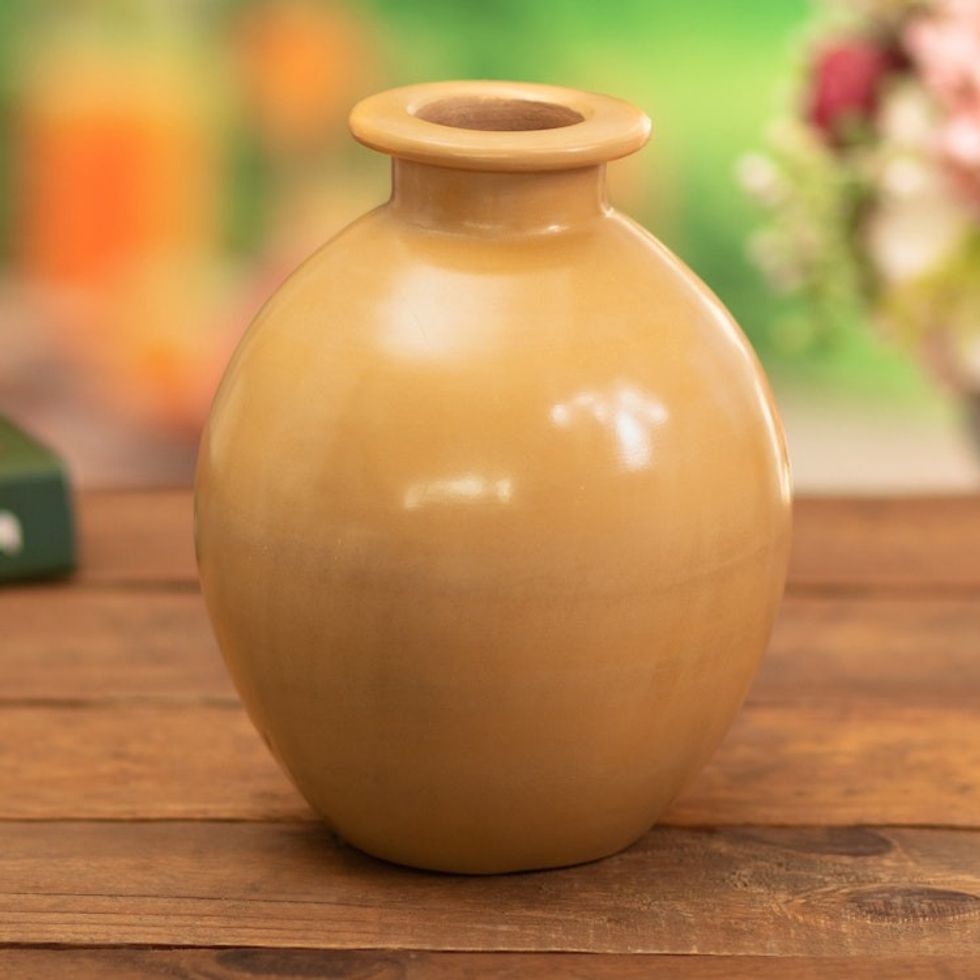 Chulucanas Ceramic Decorative Vase Handmade in Peru 'Exquisite Earth'