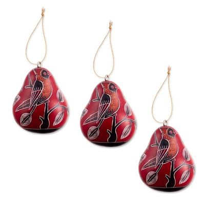 Alternate image for Dried Mate Gourd Hanging Bird Ornaments from Peruset of 3 Moon Birds