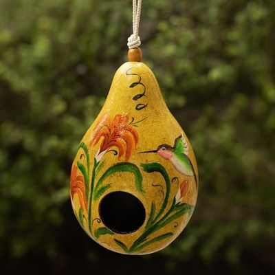 Alternate image for Peruvian Hand Painted Yellow Dried Mate Gourd Birdhouse Hummingbird Condo