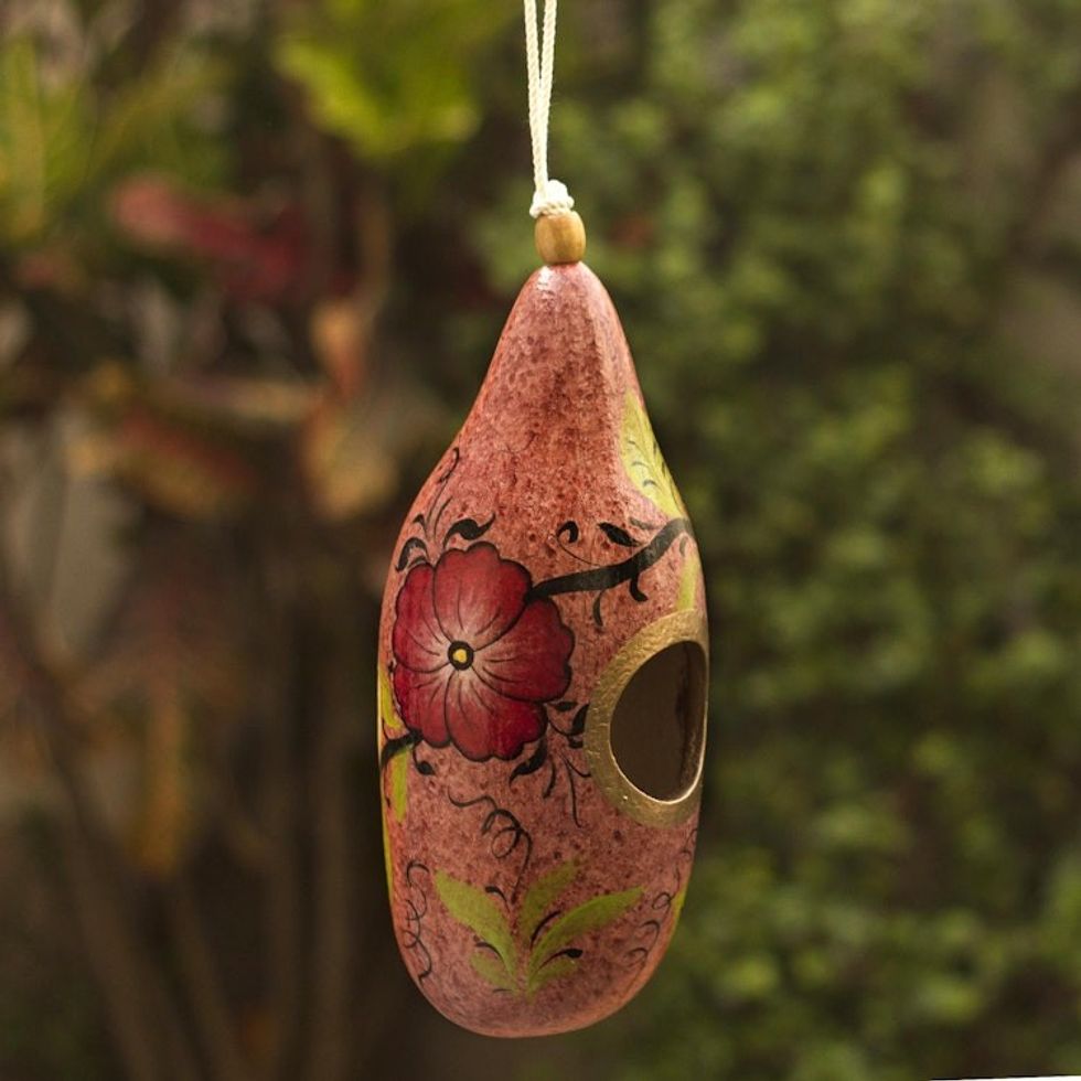 Hand Painted Gourd Birdhouse from Peru 'Blossoms on Blush'