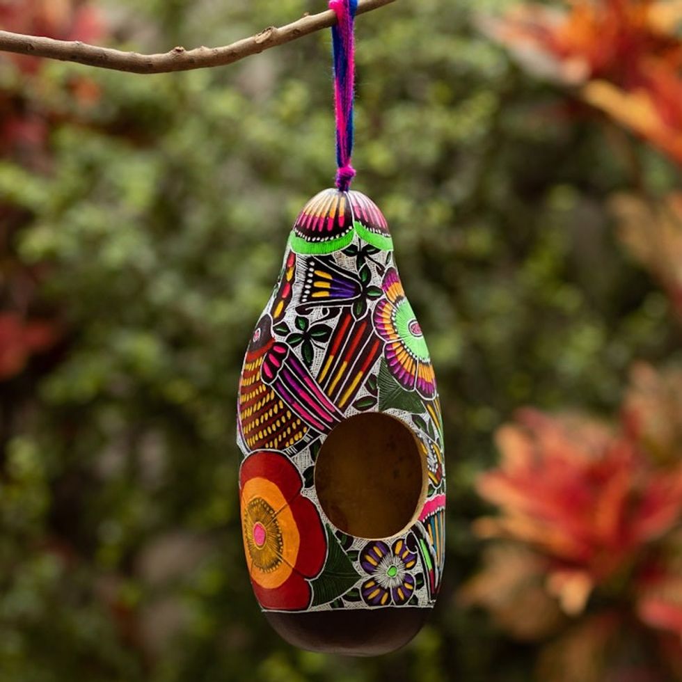 Hand-carved Hand-painted Dried Gourd Birdhouse from Peru 'Home Sweet Home'