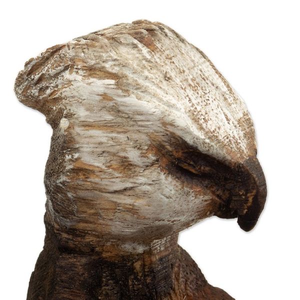 Alternate image for Hand-Carved Cedar Wood Sculpture of an Eagle from Peru Courageous Meditator