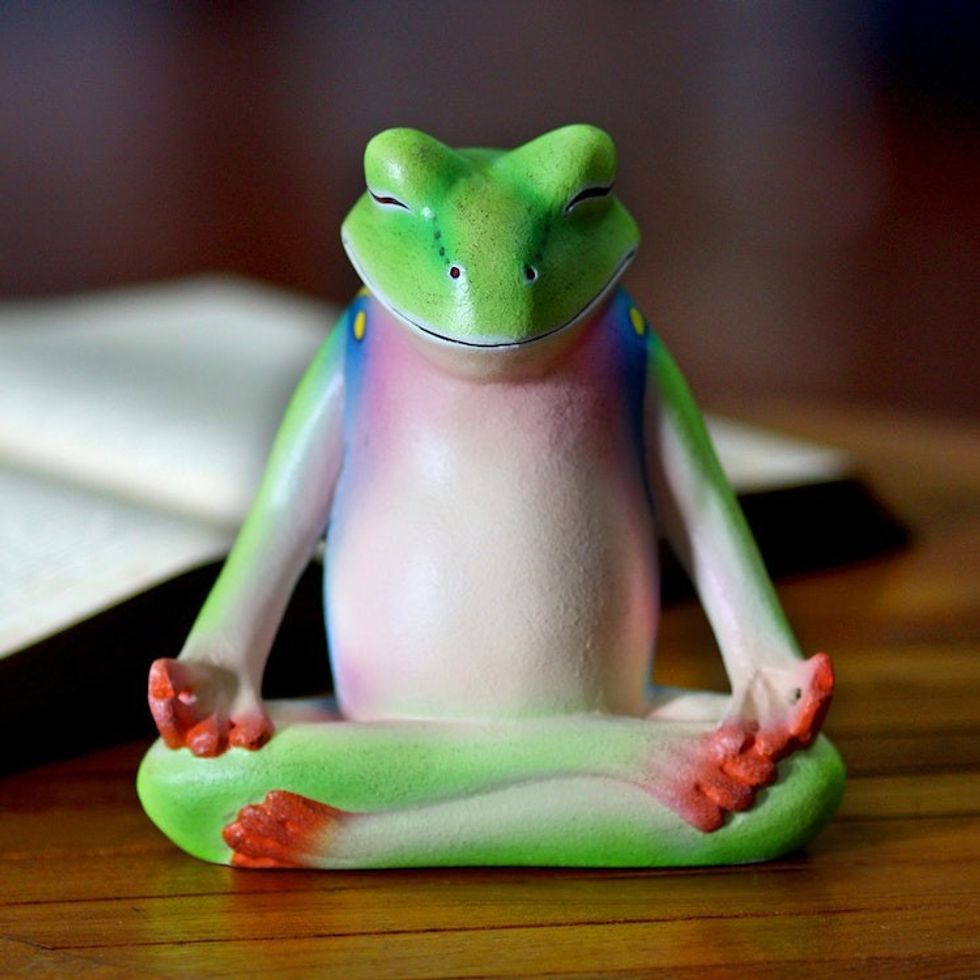 Wood sculpture 'Tree Frog Meditates'