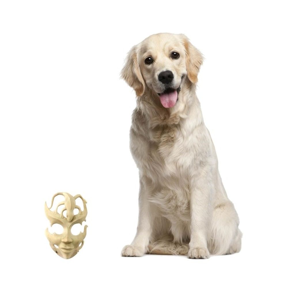 Alternate item image