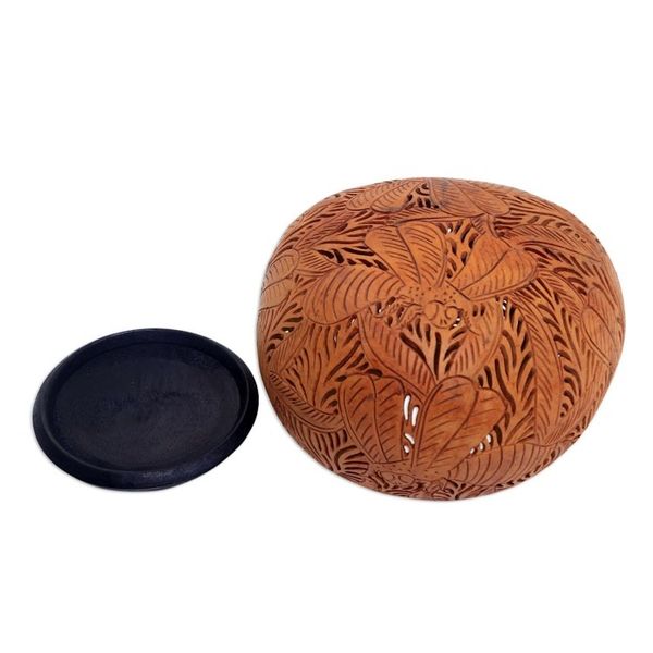 Alternate image for Coconut Shell Sculpture Beehive Jive