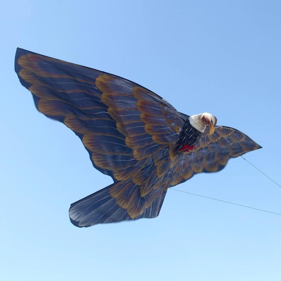Handcrafted Balinese Garuda Golden Eagle Kite 'Golden Garuda'