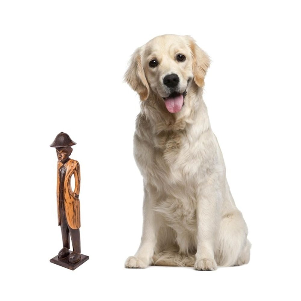 Alternate item image