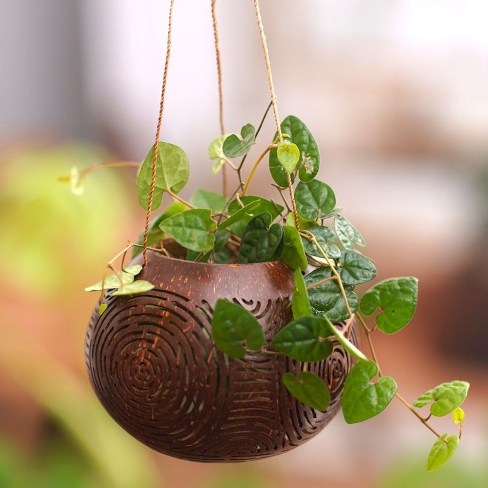 Hand Made Coconut Shell Decorative Accent Circle Indonesia 'Morning Bliss'
