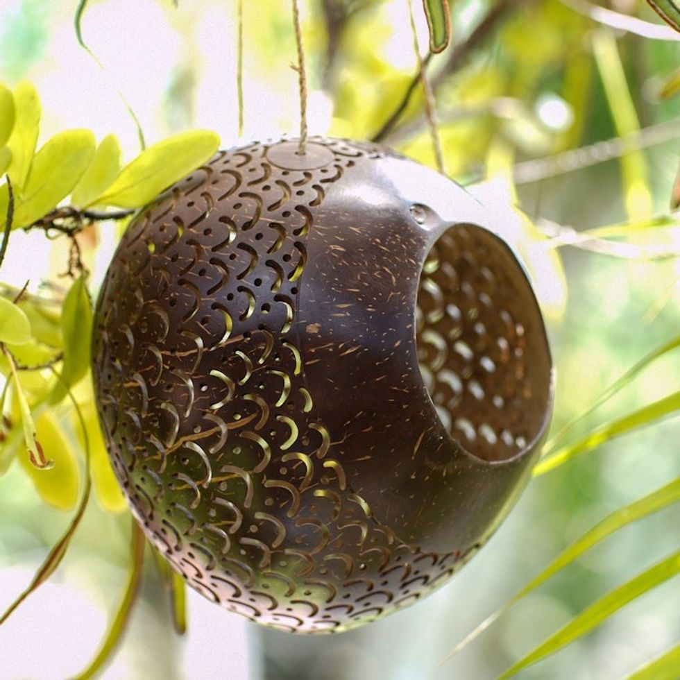 Coconut Shell Hanging Birdhouse from Indonesia 'Sea Scales'