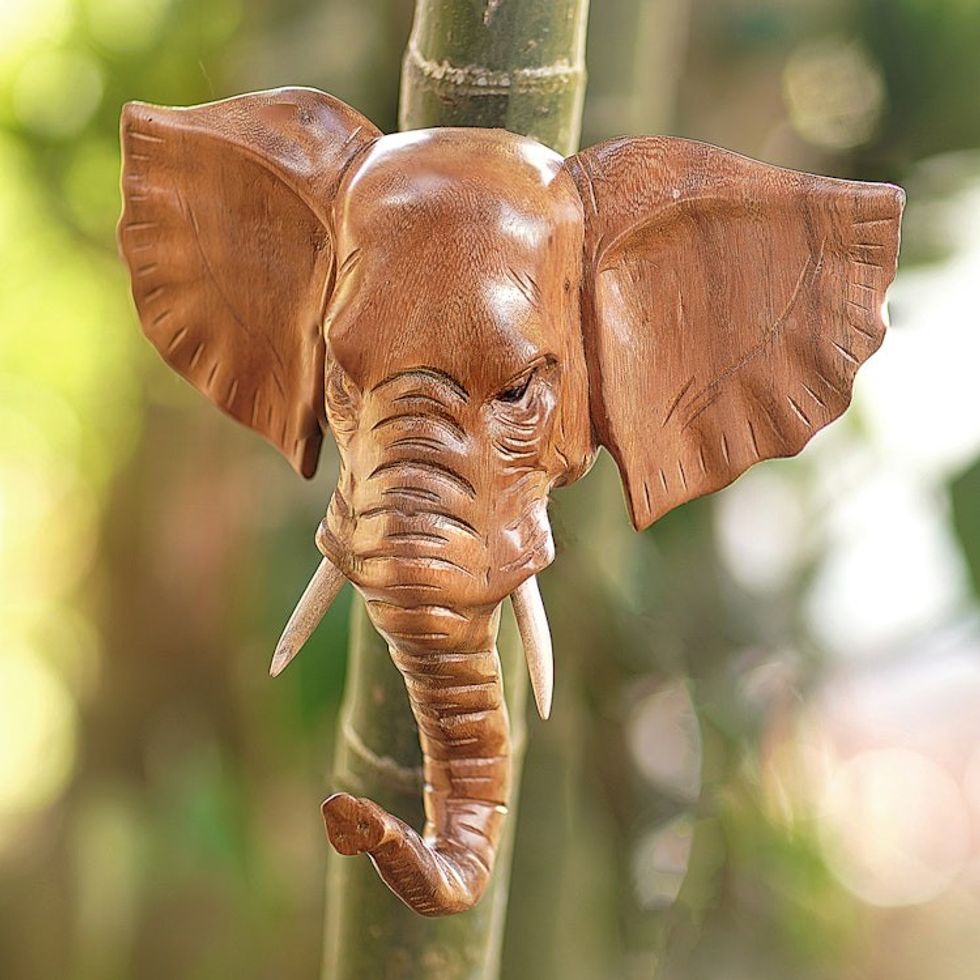 Hand Carved Balinese Wood Elephant Wall Mask from Bali 'Elephant Presence'