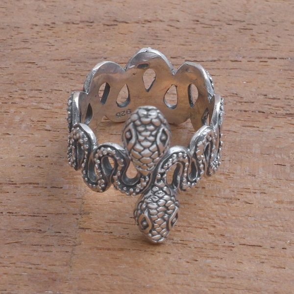 Alternate image for Sterling Silver Snake Band Ring from Bali Snake Twins