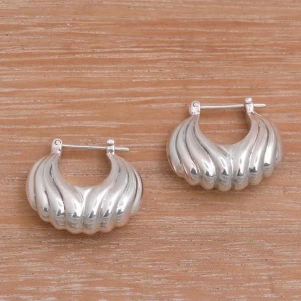 Alternate image for Sterling Silver Daylight Seashells Hoop Earrings Daylight Shells