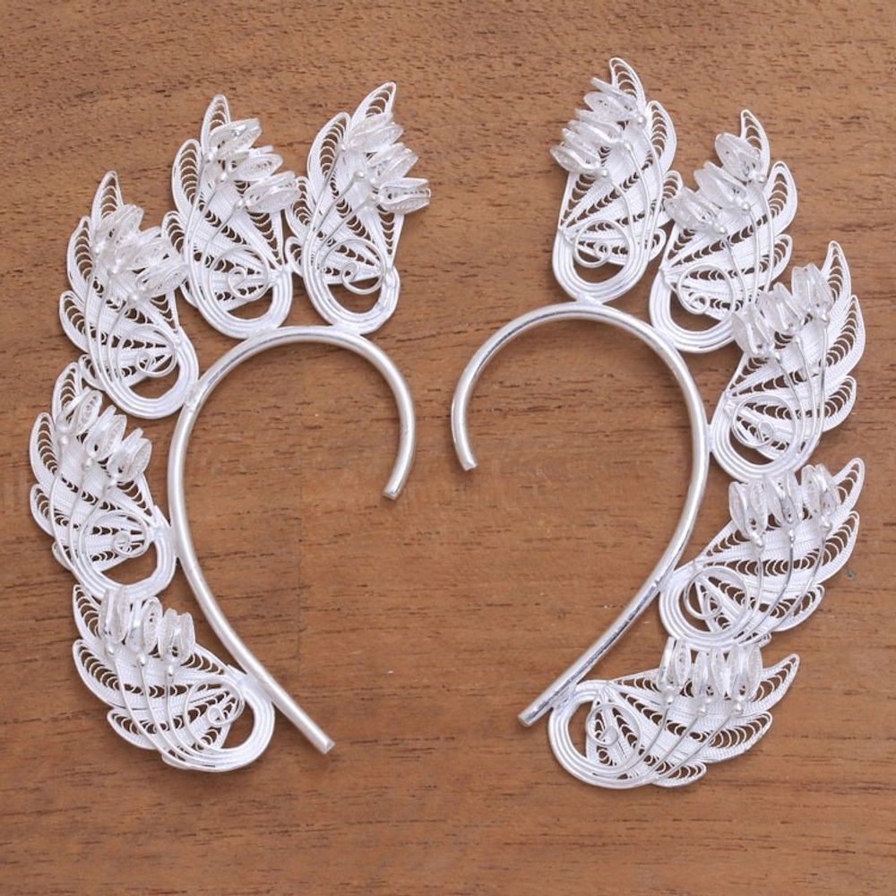 Alternate item image