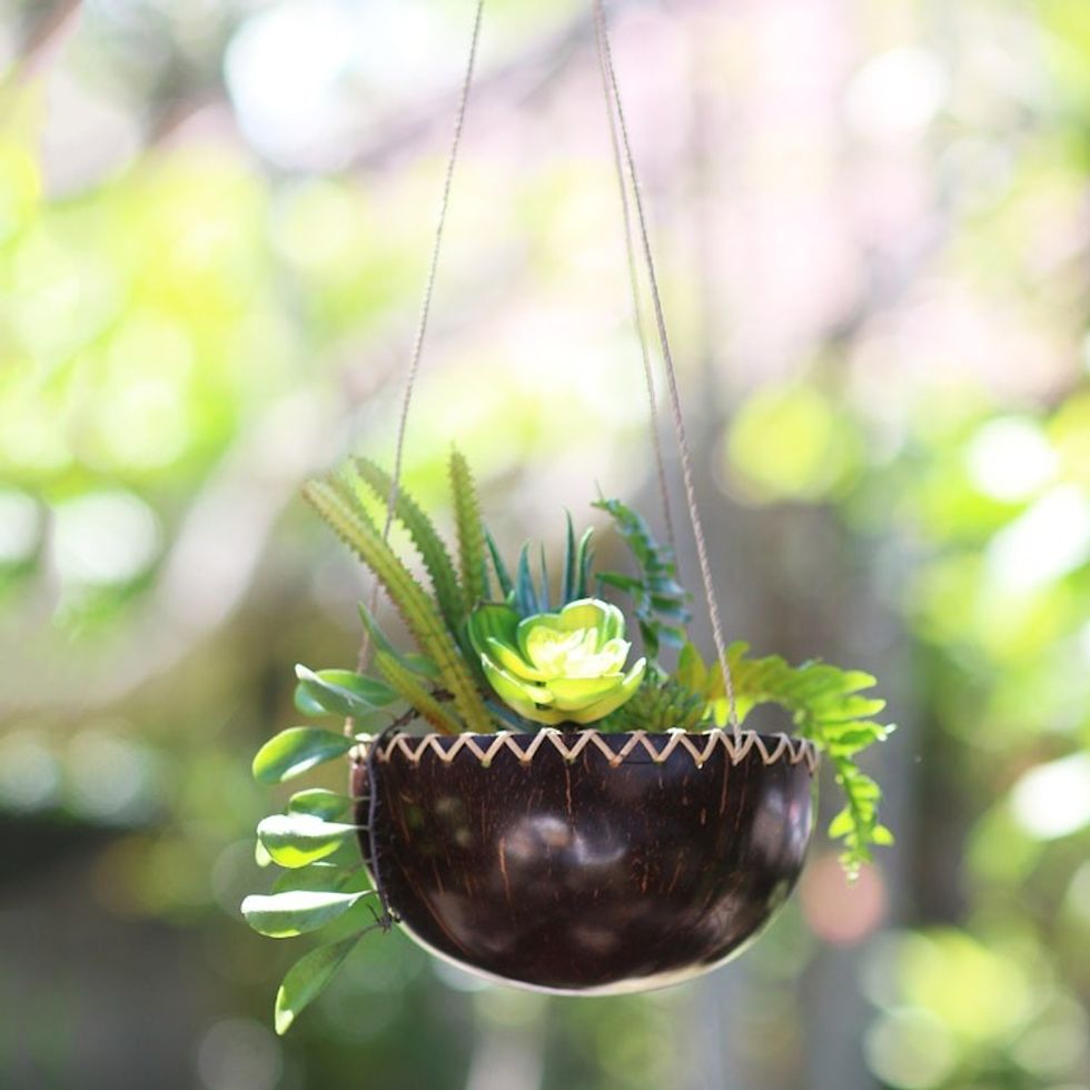 Hanging Coconut Shell Plant Pot 'Clean Environment'