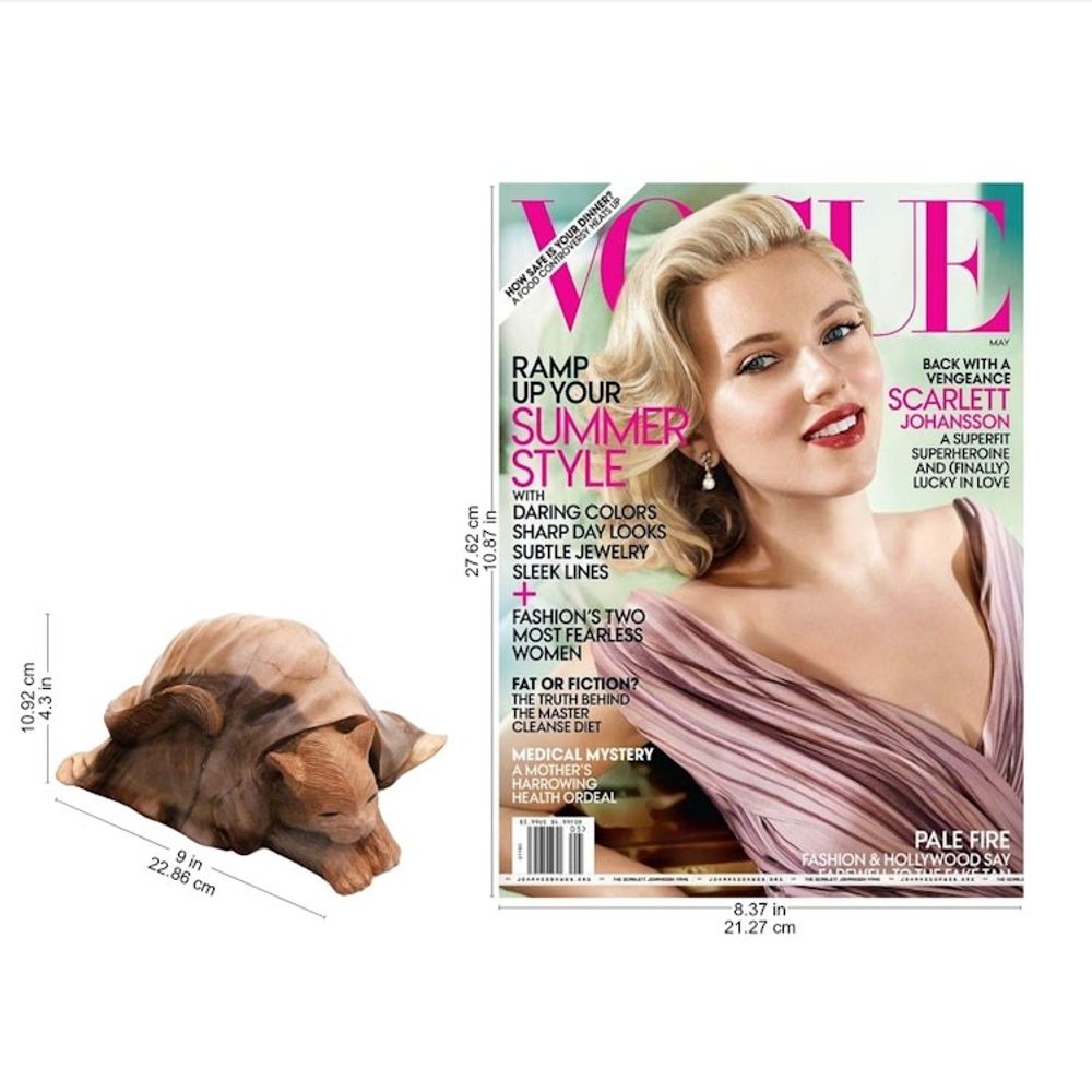 Alternate item image