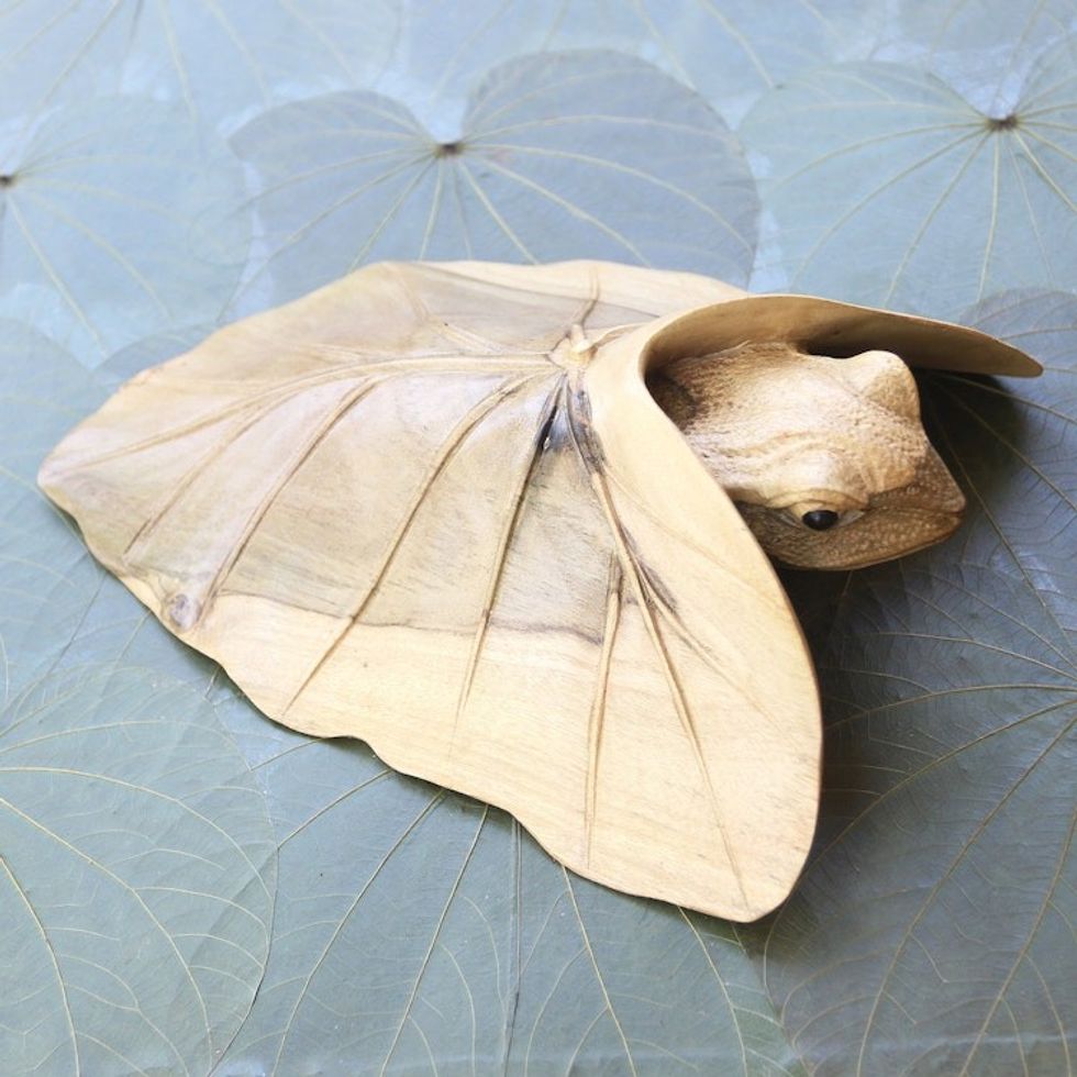 Hibiscus Wood Sculpture of Frog Under Leaf 'Shy Frog'