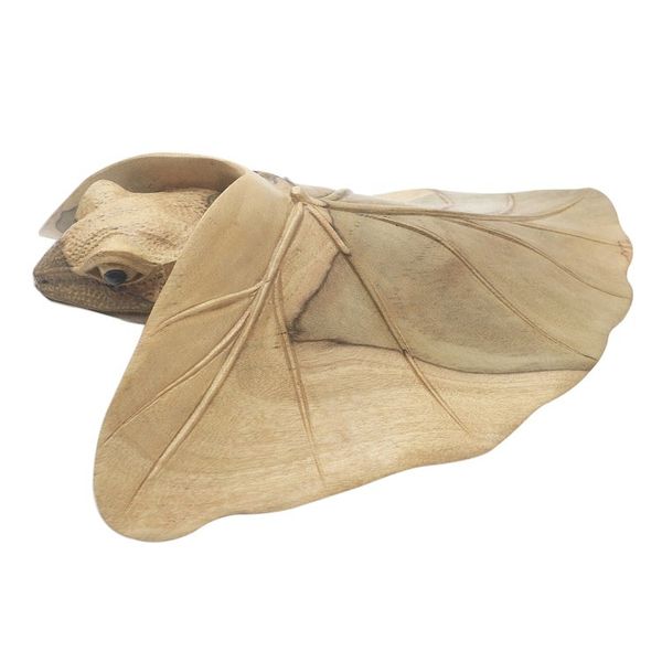 Alternate image for Hibiscus Wood Sculpture of Frog Under Leaf Shy Frog