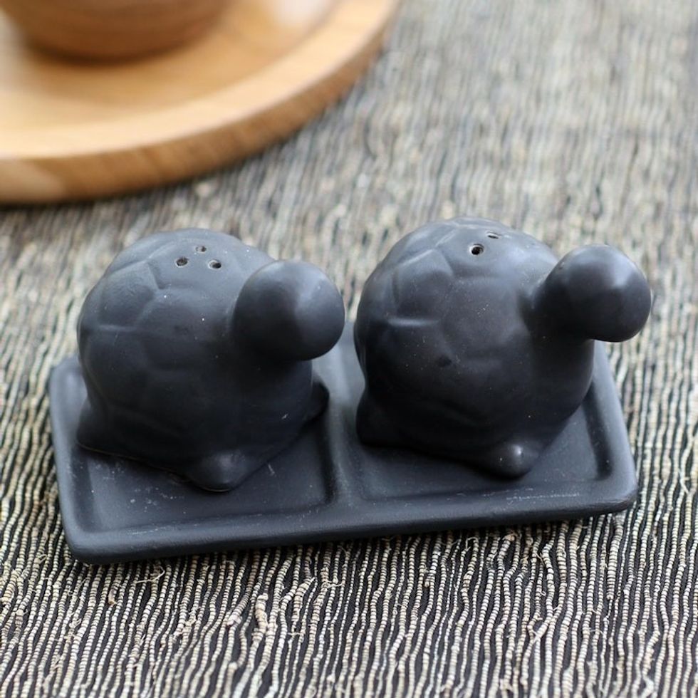 Matte Black Ceramic Turtle Salt and Pepper Shakers with Tray 'Tortoise Friends in Black'
