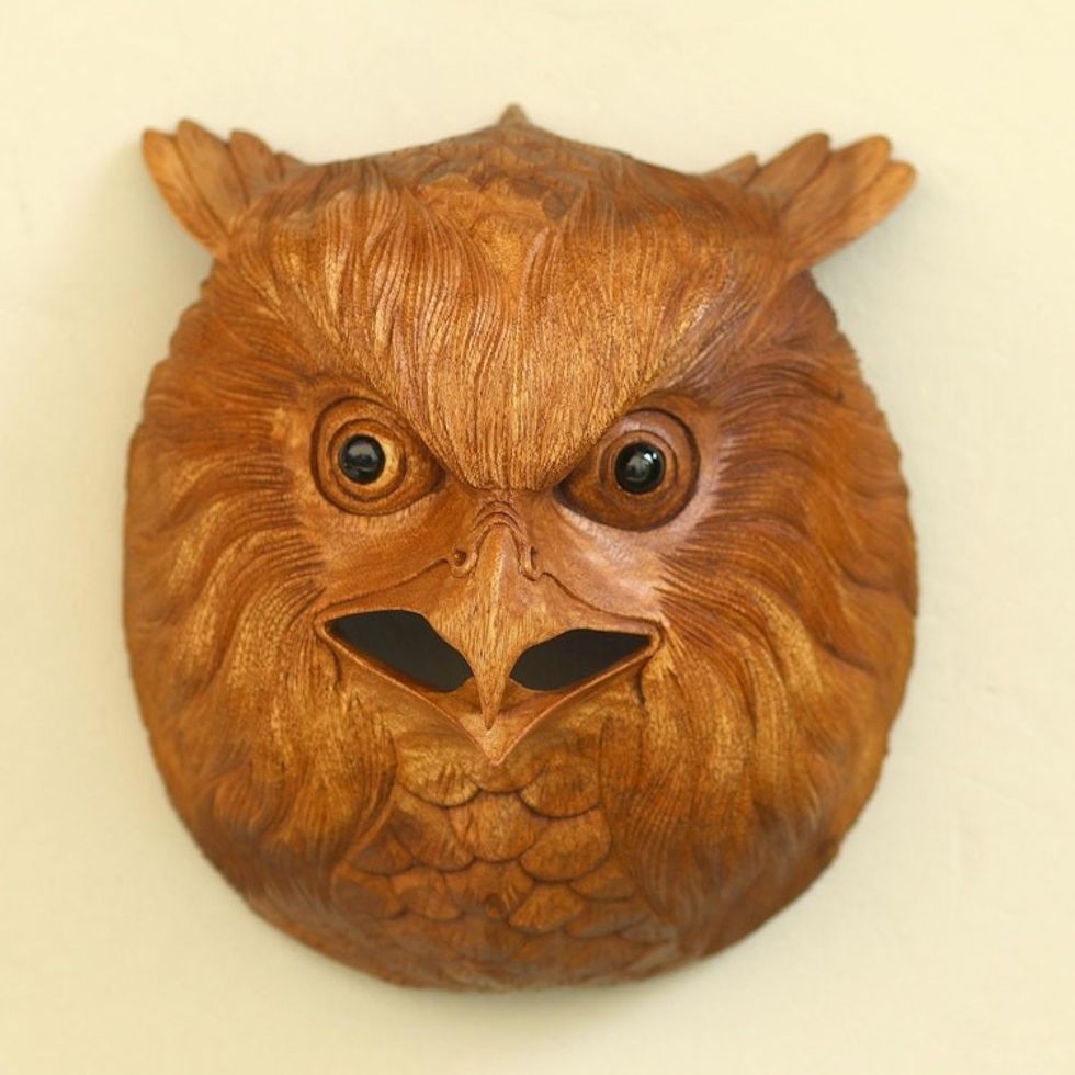 Hand Carved Native Suar Wood Owl Head Wall Decor 'Owl Eyes'